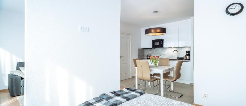 Kuchyňa alebo kuchynka v ubytovaní Apartamenty NAVIGATOR-PORT