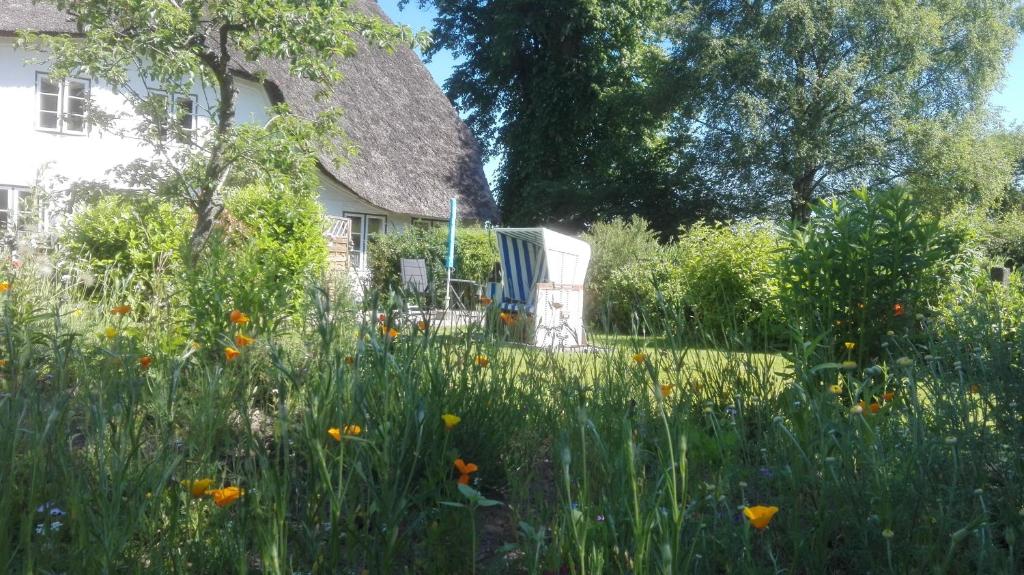 a field of flowers in front of a house at "Engelsby-Dorf" in Flensburg