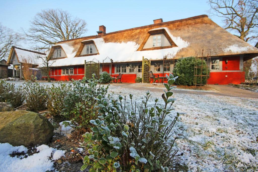 czerwony dom ze śniegiem na dachu w obiekcie Wohnungen unter Reet w mieście Krems Zwei