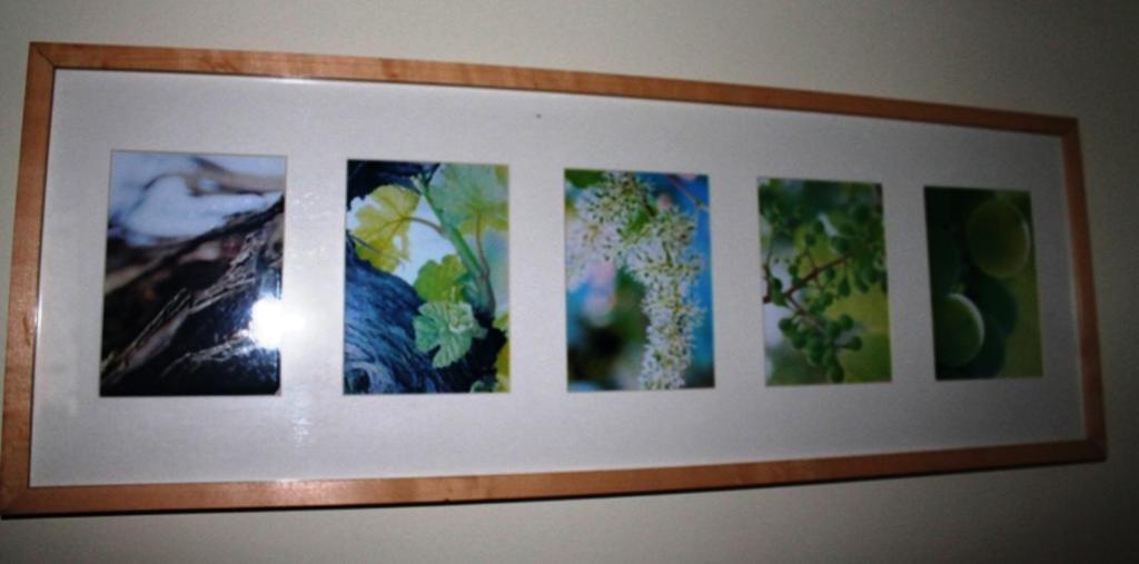 Fotografie z fotogalerie ubytování Ferienhof Weingut Lunzer v destinaci Gols