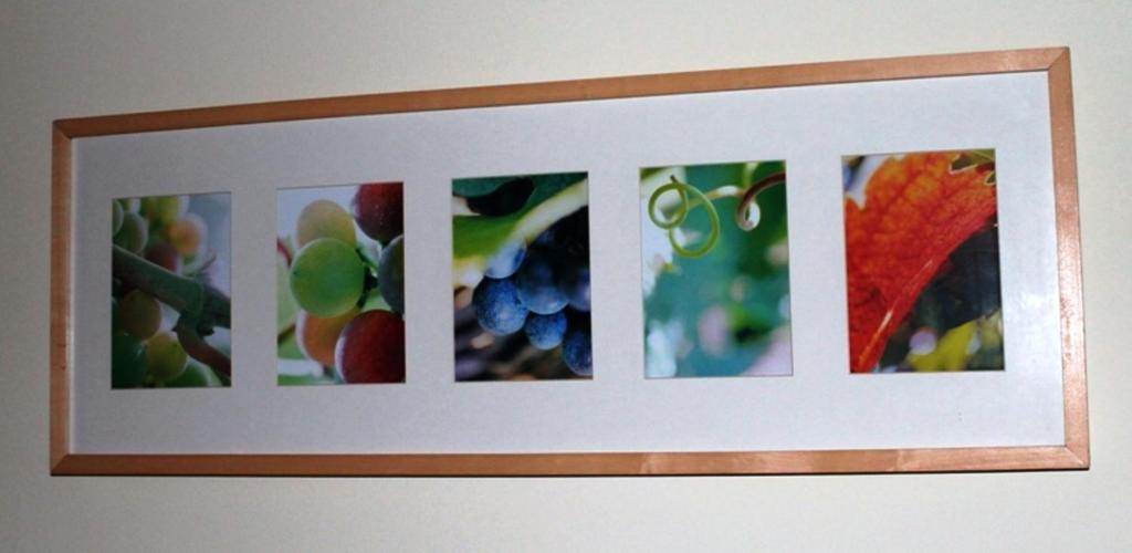 Fotografie z fotogalerie ubytování Ferienhof Weingut Lunzer v destinaci Gols