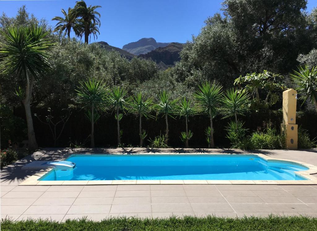 a blue swimming pool in a yard with palm trees at Bohemian Hideaway Finca - 2 unique houses with shared pool in Santa Lucía