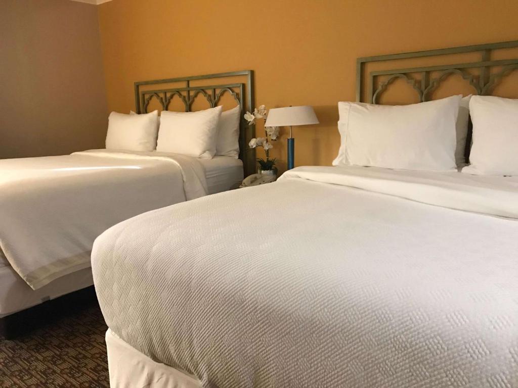 Hotel Xola - hotel rooms