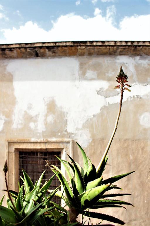 La Via delle Biciclette - 10