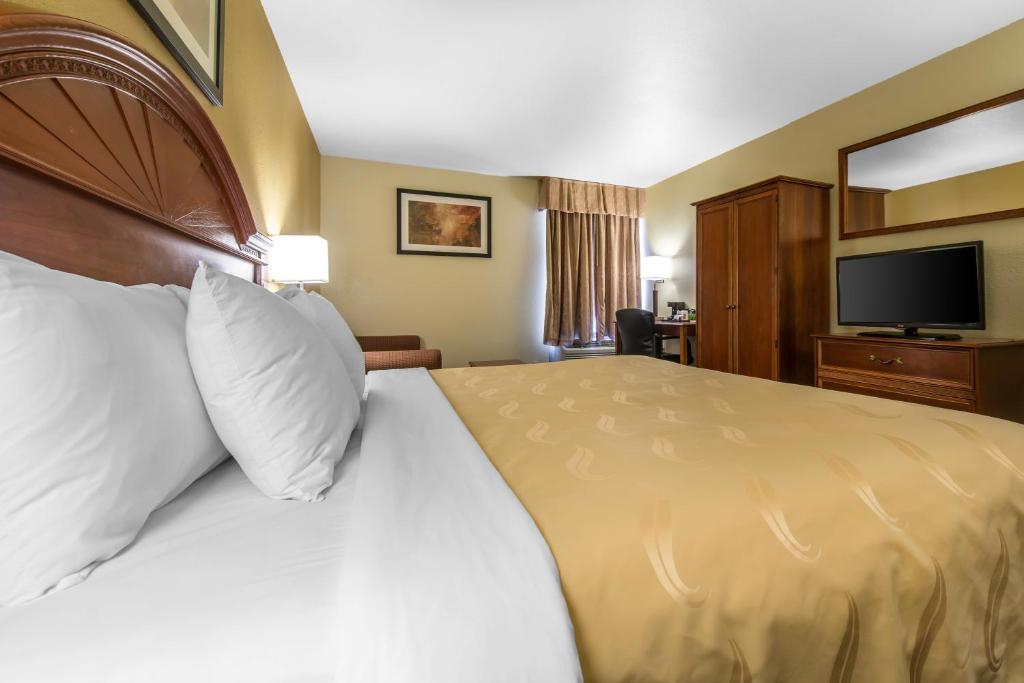 Quality Inn Colorado Springs South - King Room With Sofa Bed - Non-Smoking