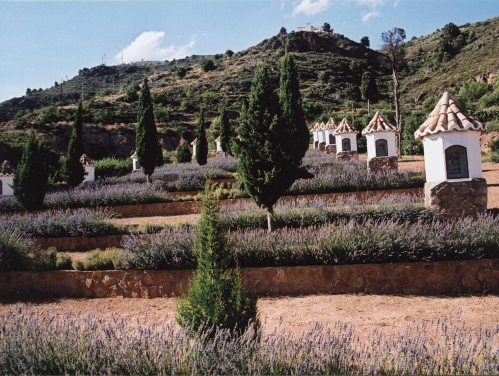 Paisaje cerca of this country house