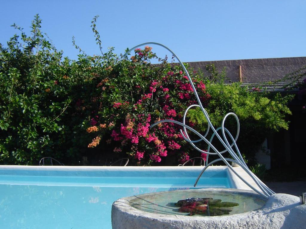 Basen w obiekcie Agriturismo La Dolce Vita Lipari lub w pobliżu