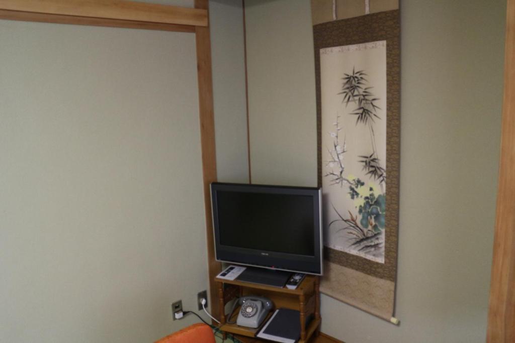 TV a/nebo společenská místnost v ubytování Hotel New Kotobuki