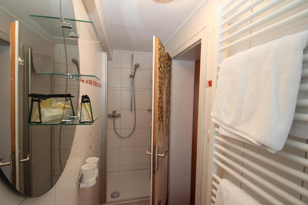 Koupelna v ubytování Landhaus Müller