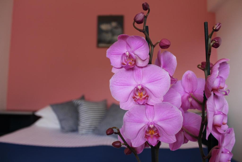 un montón de flores púrpuras en una habitación con cama en Tramonti Green, en Tramonti