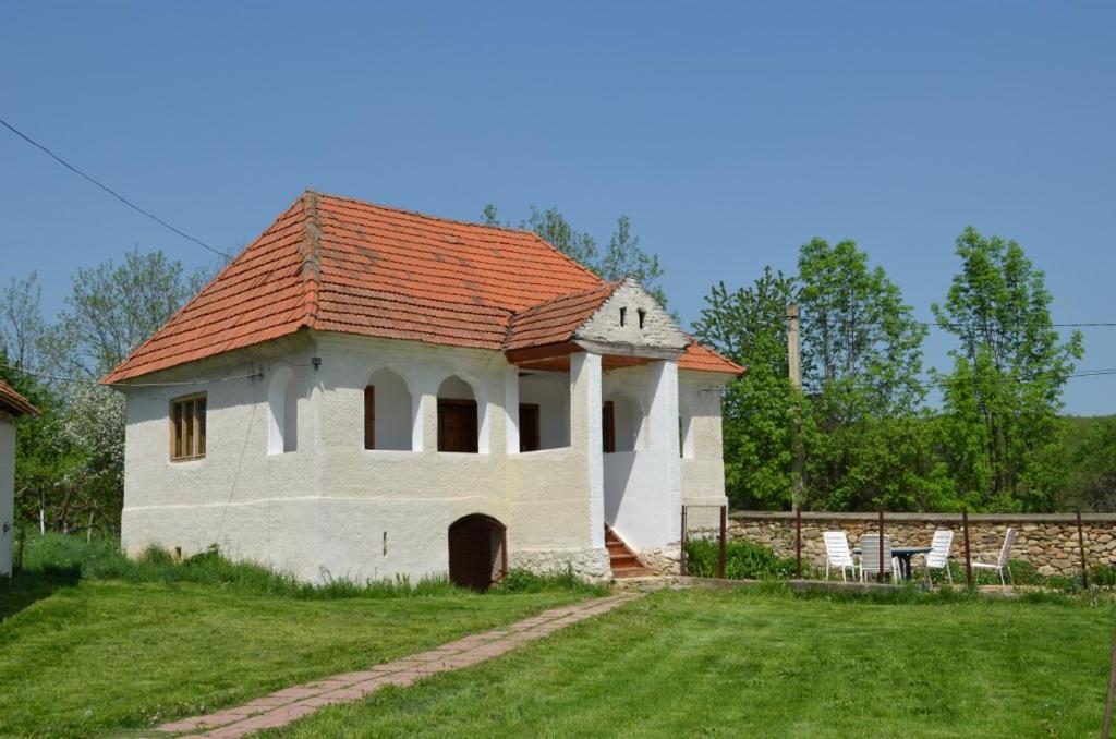 uma casa velha com um telhado vermelho num campo em Pension Zamolxe em Sarmizegetusa
