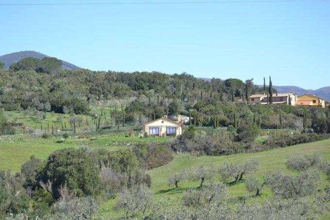 Podere Serra destri - Holiday Home