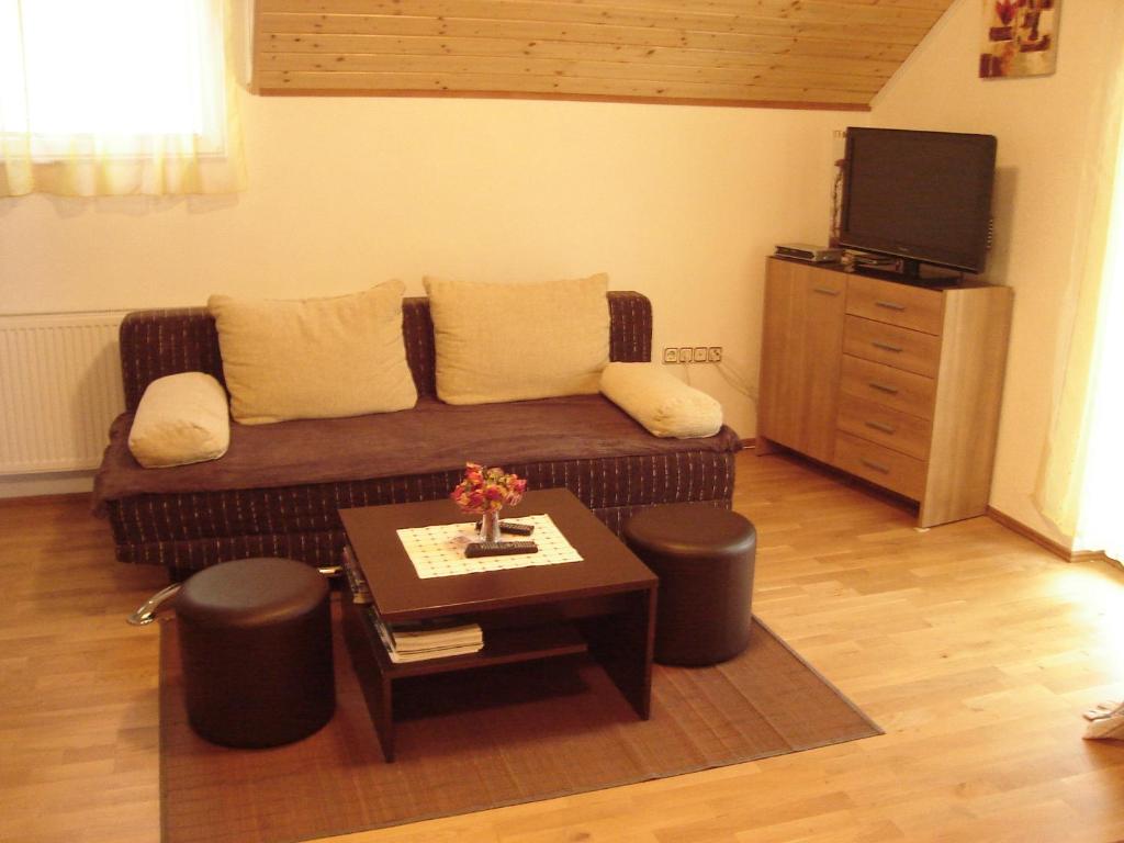 TV a/nebo společenská místnost v ubytování Apartments Pavlić