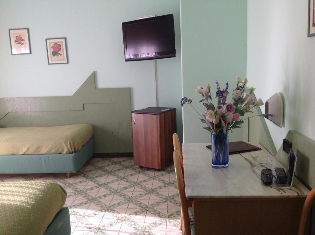 TV a/nebo společenská místnost v ubytování Hotel Giovanna