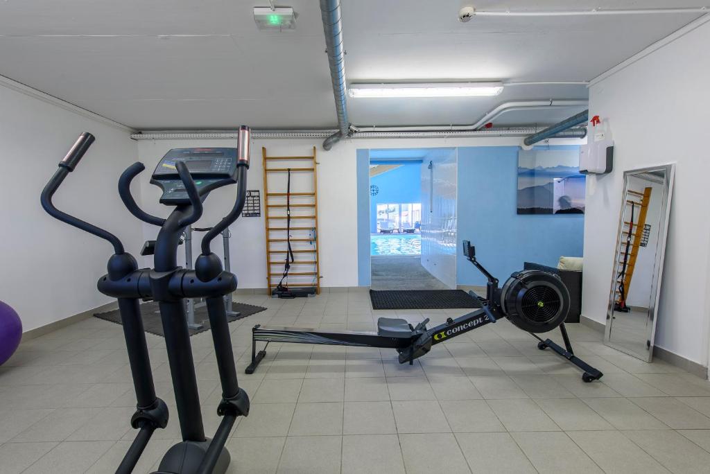 Fitness centrum a/nebo fitness zařízení v ubytování Hotel Le Chatard