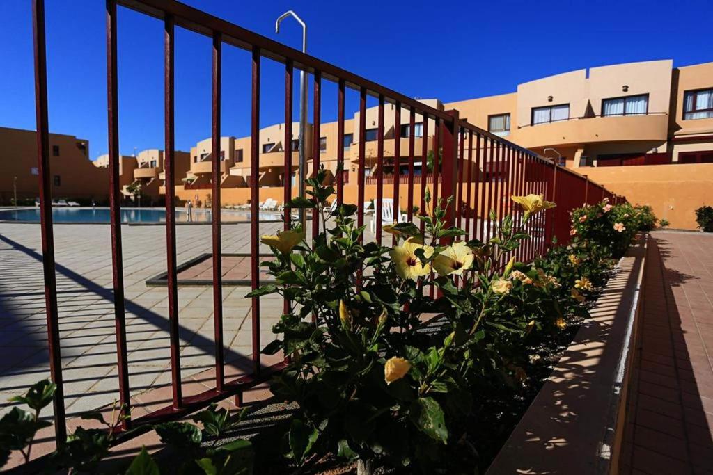 a fence with a bunch of flowers on it at Bahia sol in Caleta De Fuste