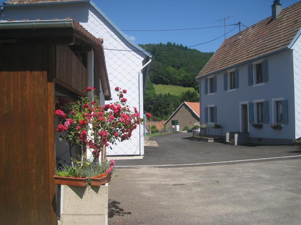 a building with flowers in a pot next to a street at Gite Au Pays Welche in Lapoutroie