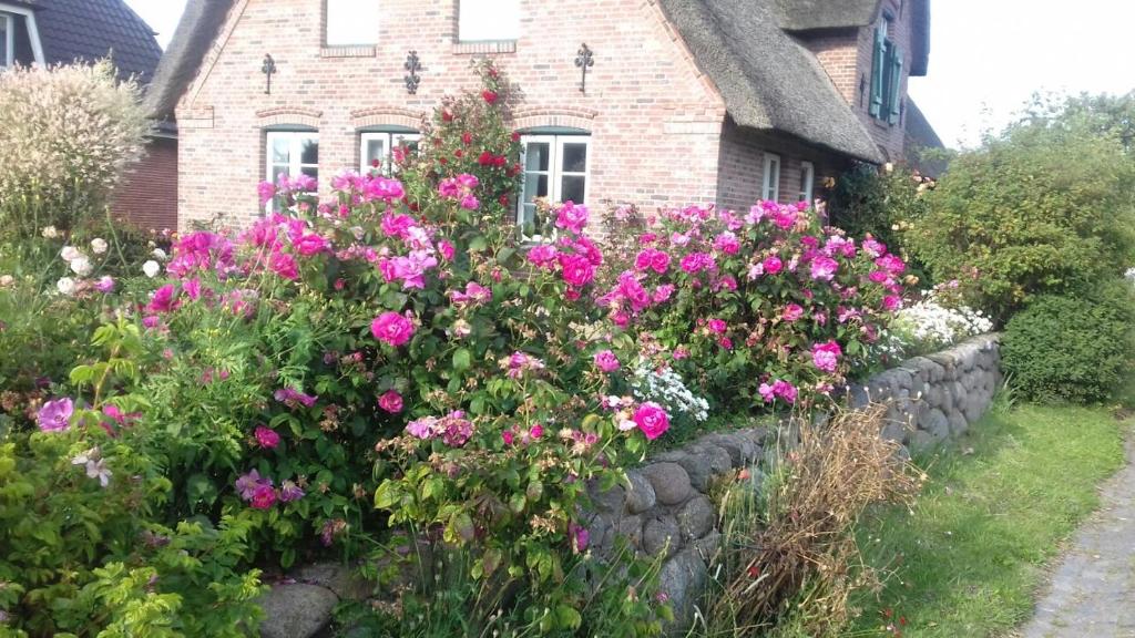 Zahrada ubytování Das Rosenhaus