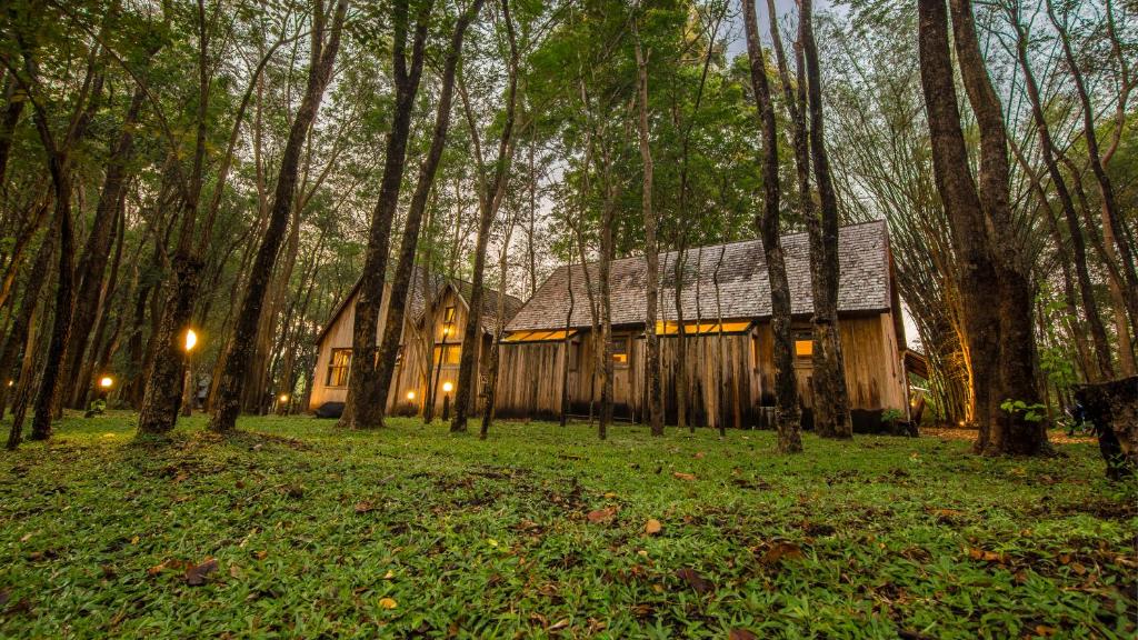 Teakwood villa في مدينة كانشانابوري: منزل في وسط غابة فيها اشجار