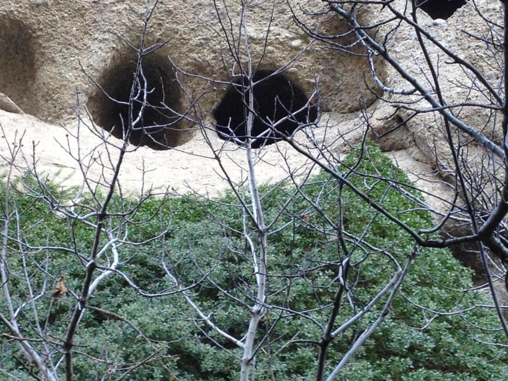 Pyrgos Adrachti - 14