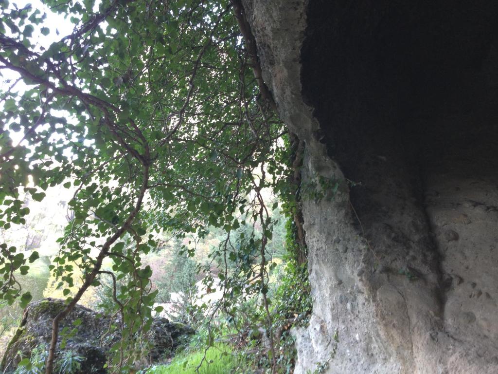 Pyrgos Adrachti - 15