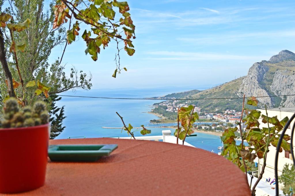Príroda v okolí apartmánu