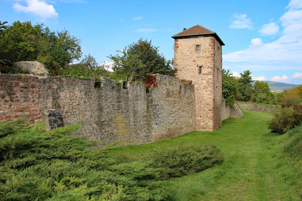 Gîte La Maison Bleue à Bergheim – photo 16