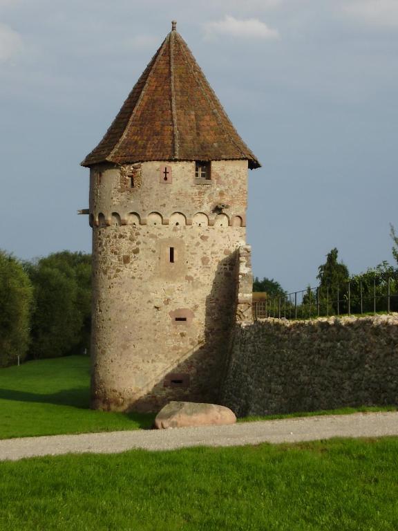 Gîte La Maison Bleue à Bergheim – photo 18