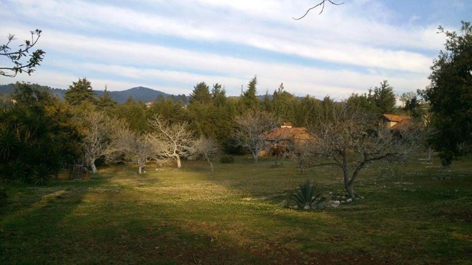 a field with trees and grass with a house at La Tierra Grande in Zacatlán