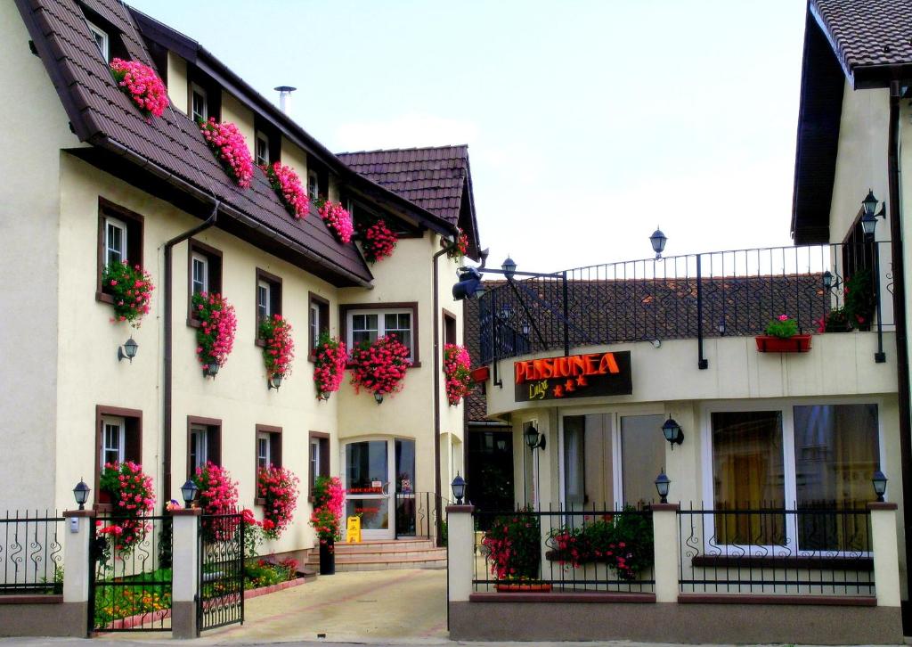 un grupo de edificios con flores rosas. en Pensiunea Luiza, en Brasov