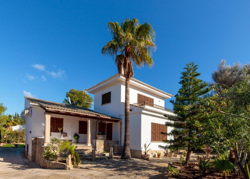 a palm tree in front of a white house at Es Fasser in Alcudia