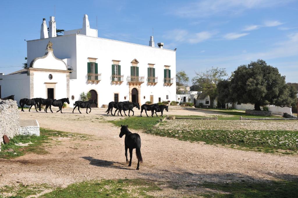 un gruppo di cavalli che camminano davanti a un edificio bianco di Masseria Tagliente a Martina Franca