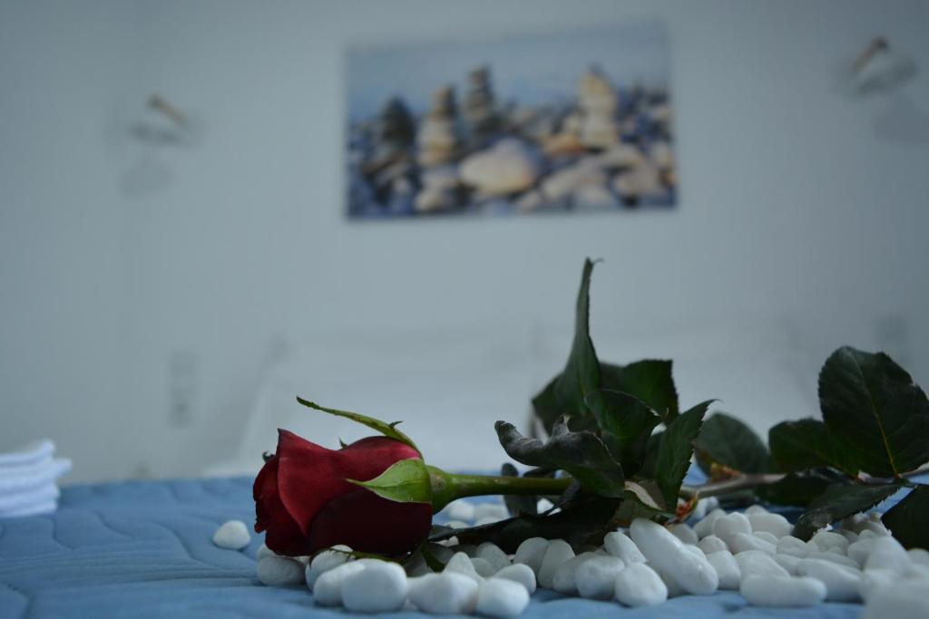 Fotografie z fotogalerie ubytování Nostos v destinaci Matala