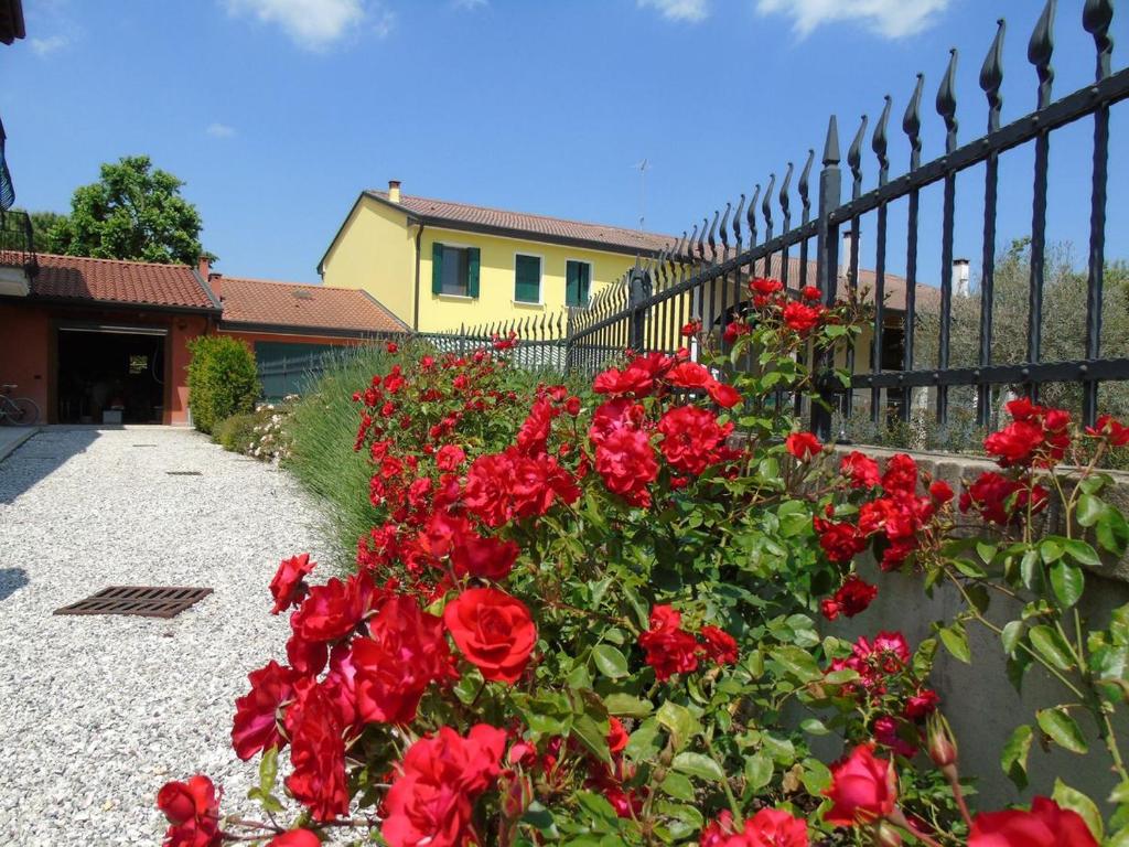 Zahrada ubytování B&B Ai Cipressi