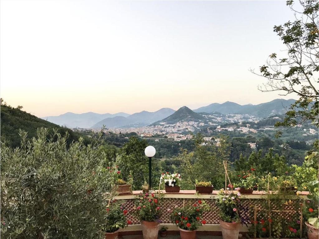uitzicht op de stad vanuit een tuin met bloemen bij Casa La Terrazza in Vietri