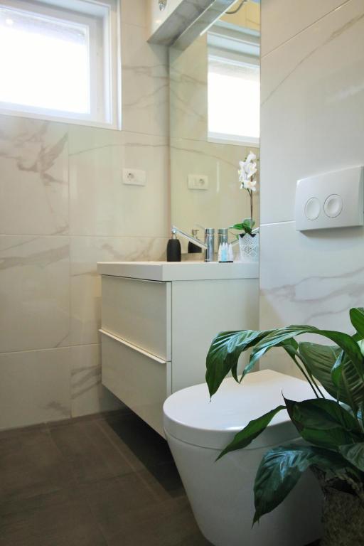 Split centre VIVERE apartment - 18