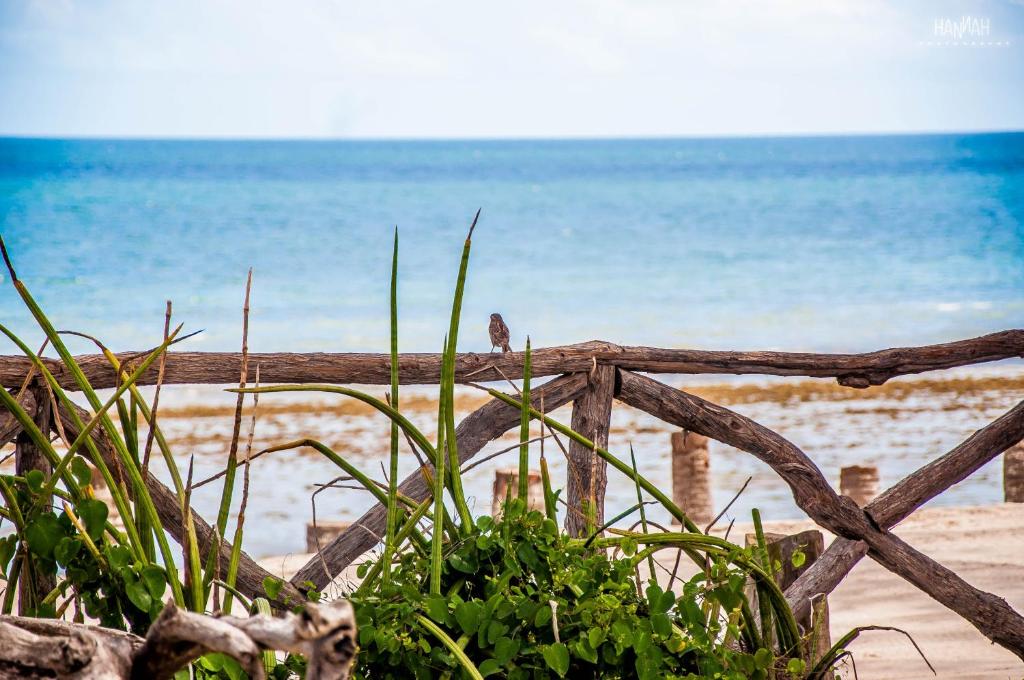  Na Beira do Mar Pousada