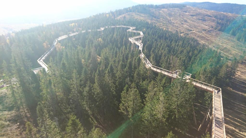 Príroda v okolí apartmánu