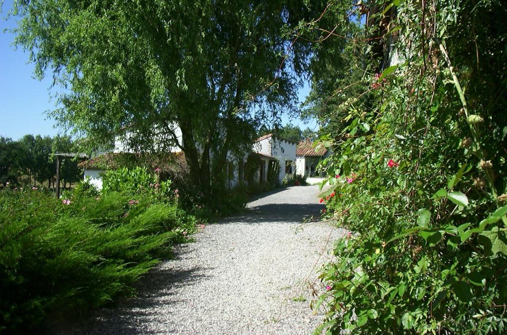 a gravel road with trees and flowers on it at Le Pit in Lessac