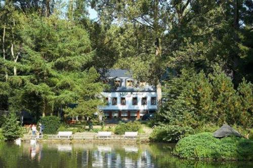 una casa grande sentada a un lado de un lago en Heidsmühle, en Manderscheid