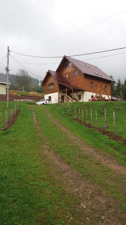 a house in a field with a dirt road in front at Pensiunea Aries Arieseni in Arieşeni