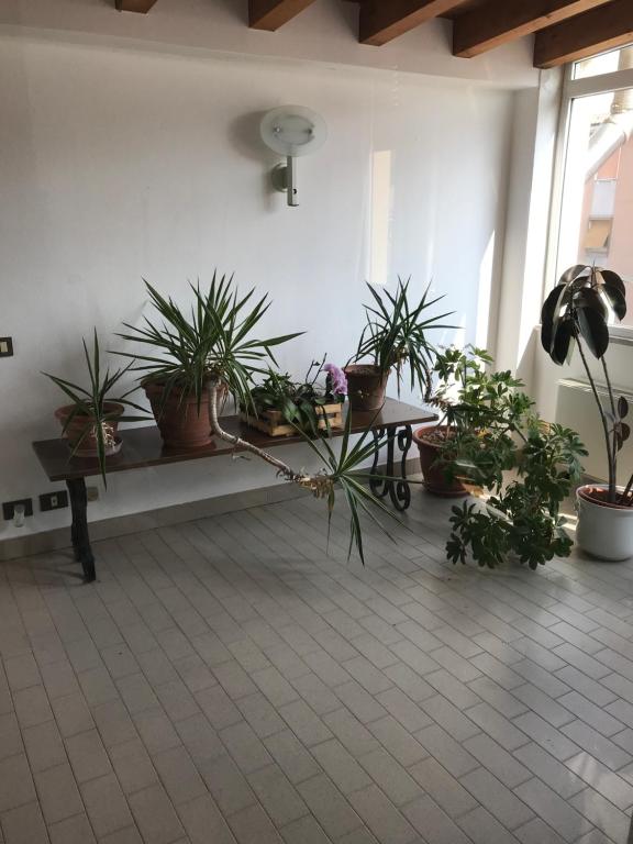 Fotografie z fotogalerie ubytování Guesthouse Flora v destinaci Lodi