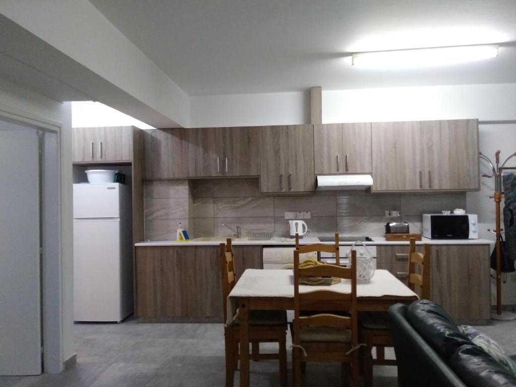Kuchyň nebo kuchyňský kout v ubytování Adonis Apartment