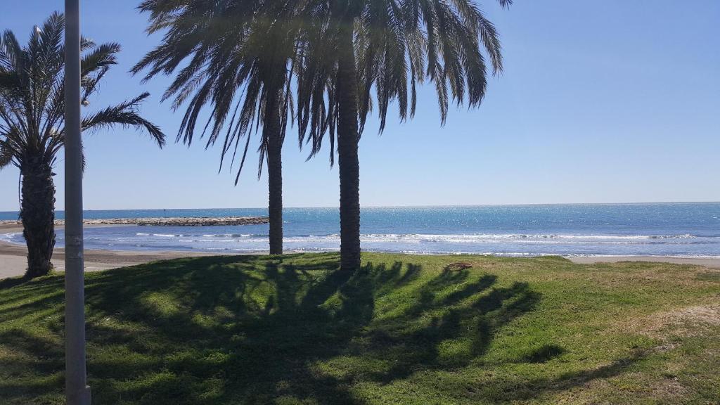 マラガにあるApartamentos Manoli Playaの海岸のヤシの木