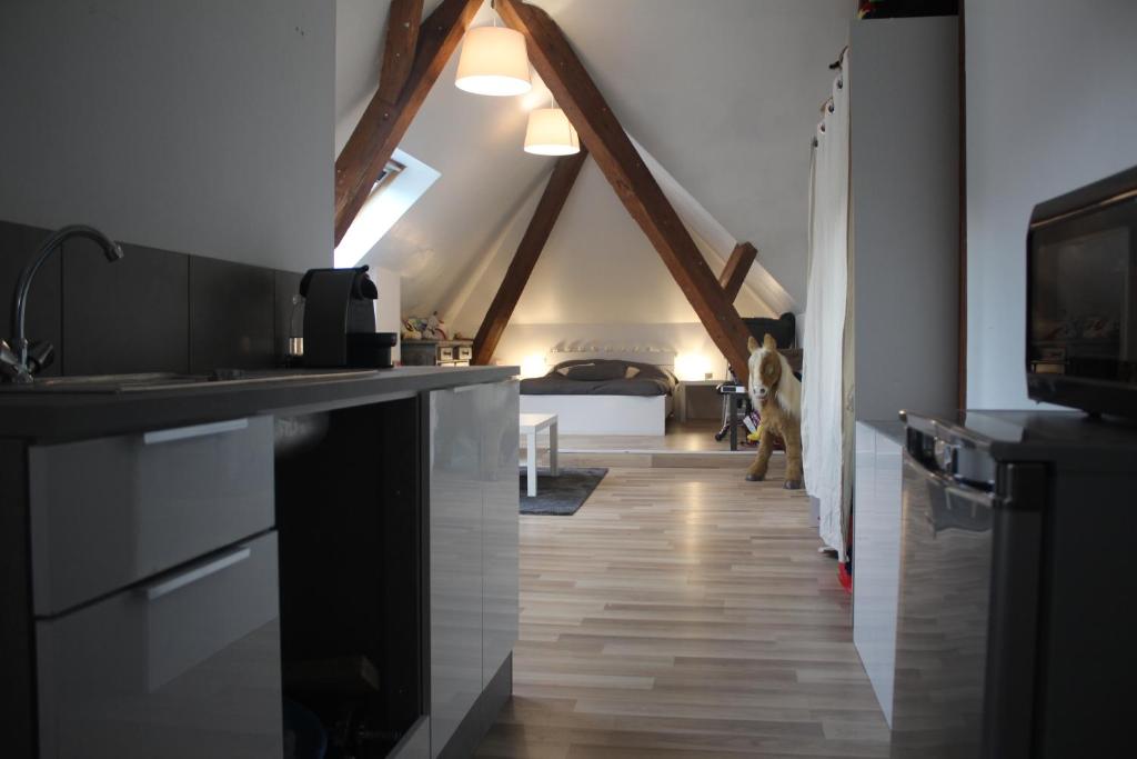 Appartement et gîte Chez l'Habitant – photo 12