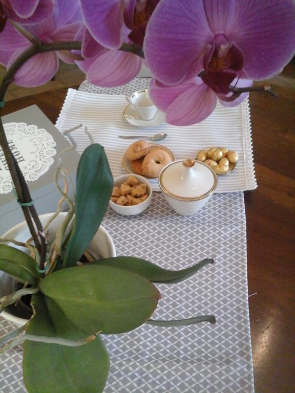 a table with some food and a plant on it at B&B La casa del mugnaio di Capriata d'Orba in Predosa