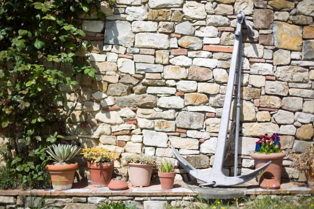Zahrada ubytování Ancora del Chianti