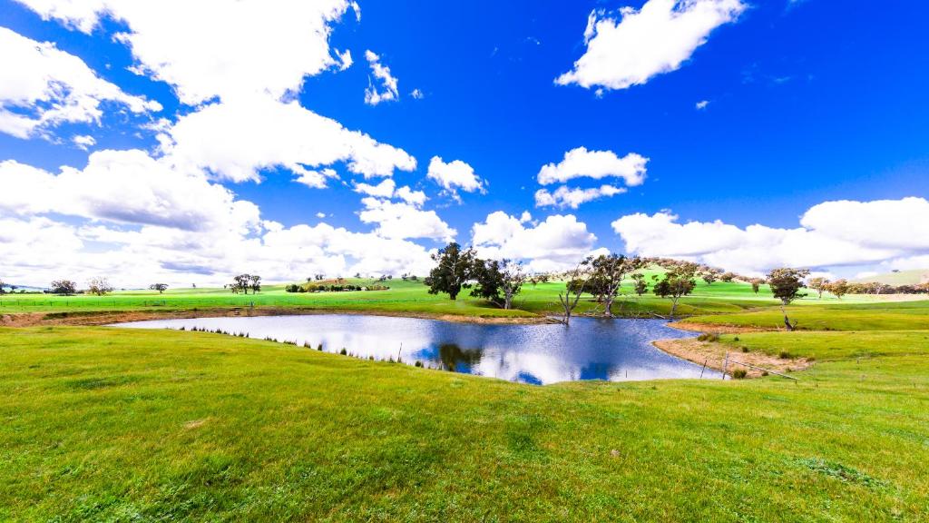 a pond in a field with a blue sky and clouds at Hillview Farmstay in Gundagai