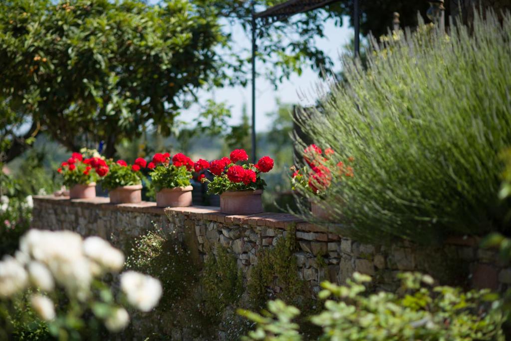 Zahrada ubytování Ancora del Chianti