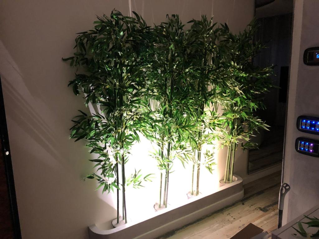 Assisi Luxury SPA Suite - 12